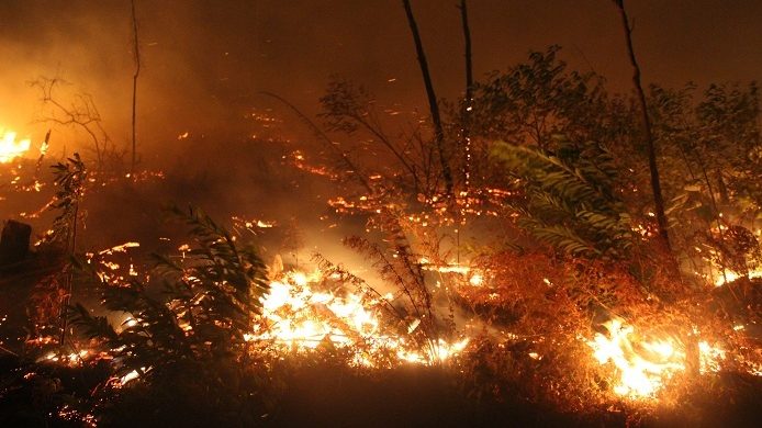 Cháy rừng ở Hà Tĩnh, 1 tháng Bảy, 2019. Ảnh: Vietnamnet