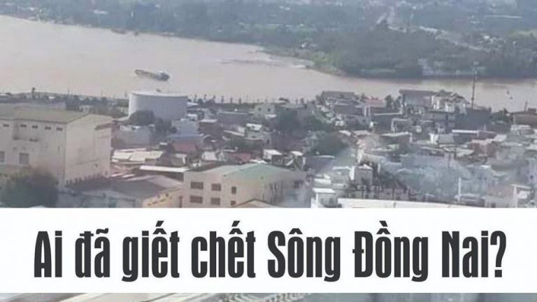 Sông Đồng Nai đang bị bức tử. Ảnh: Facebook Việt Tân