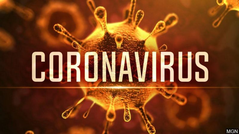 Virus corona gây ra đại dịch toàn cầu COVID-19. Ảnh: nbc11news.com