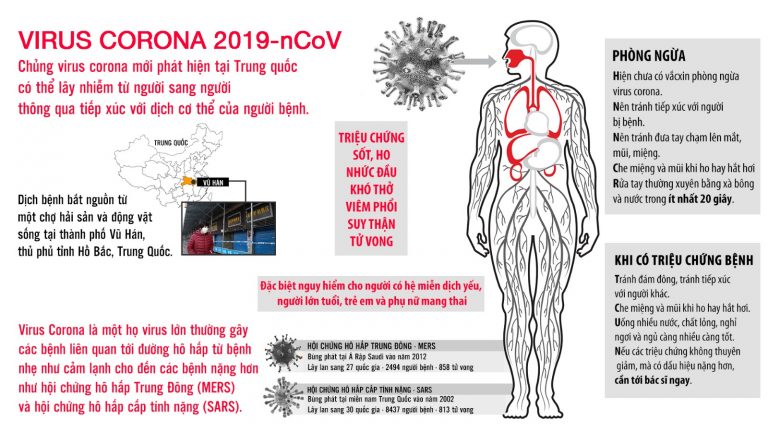 Infographic về virus corona xuất phát từ Trung Quốc 2019-nCov. Ảnh: Web Việt Tân