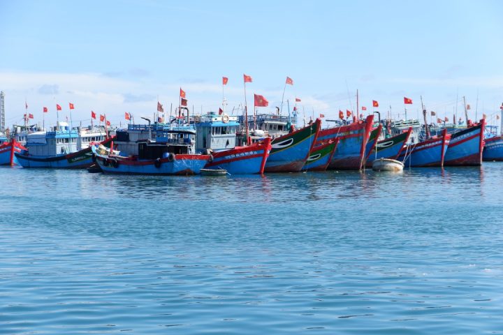 Các tàu đánh cá đậu ở cảng Lý Sơn. Ảnh: Vo Kieu Bao Uyen/ LA Times