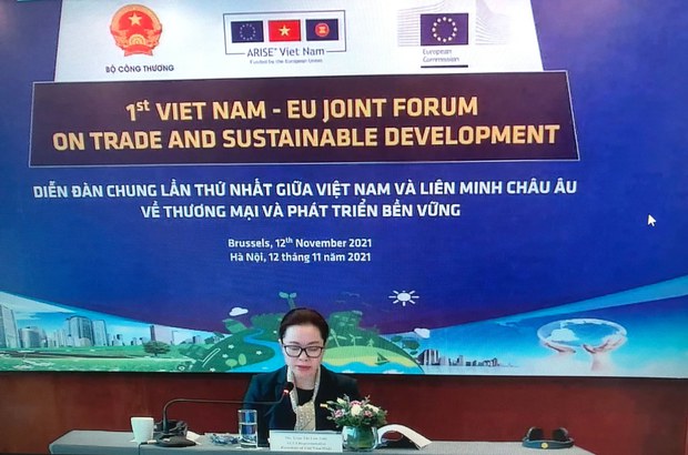 Đại diện Việt Nam tại Đối thoại trực tuyến giữa EU và VN vào ngày 12/11/2021. Ảnh: RFA