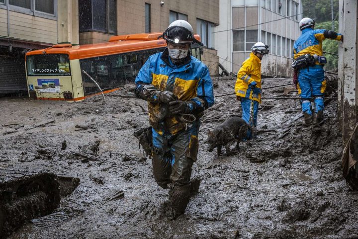 Một viên cảnh sát và chó cứu hộ đang tìm kiếm xung quanh khu vực xảy ra vụ sạt lở đất ở thành phố Atami, Shizuoka, Nhật Bản, ngày 4/7/2021. Ảnh: YUICHI YAMAZAKI/ GETTY IMAGES