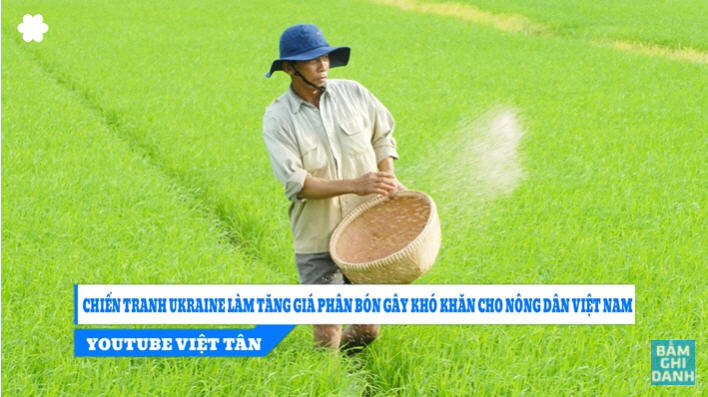 Chiến tranh Ukraine làm giá phân bón tăng cao, gây khó khăn cho nông dân Việt Nam. Ảnh chụp Youtube Việt Tân