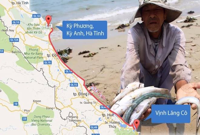Thảm họa môi trường do Formosa Hà Tĩnh gây ra đối với dân chúng 4 tỉnh MIền Trung tháng 4/2016. Ảnh: Chân Trời Mới Media