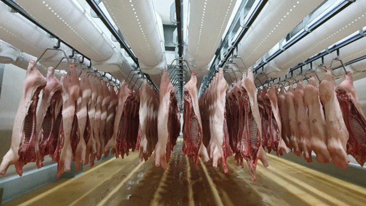 Chỉ tính riêng trong 11 tháng đầu năm 2022, Việt Nam đã chi trên 3 tỷ đô để nhập khẩu các loại mặt hàng thịt. Ảnh: Nông Nghiệp Việt Nam
