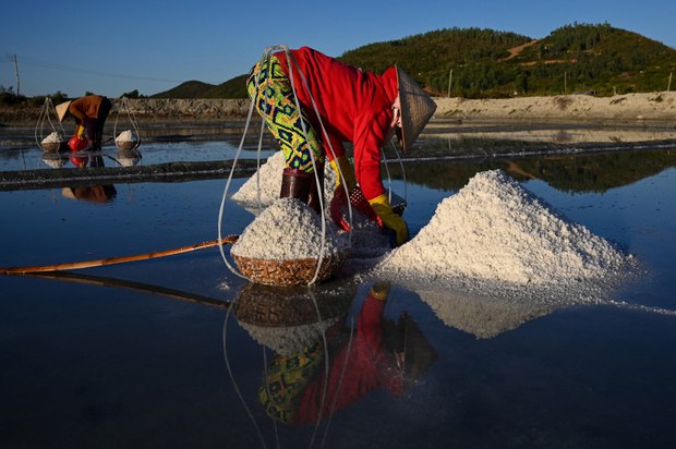 Người dân thu hoạch muối từ cánh đồng muối ở Hòn Khói, Khánh Hoà. Ảnh: AFP