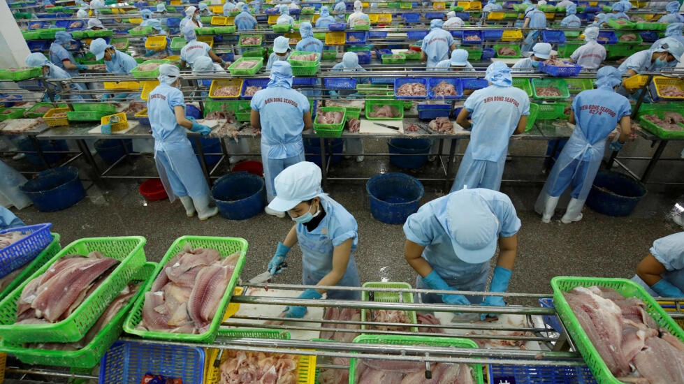 Tại một nhà máy chế biến cá của công ty thủy sản Biển Đông, Cần Thơ, chụp ngày 07/07/2017. Ảnh: Reuters