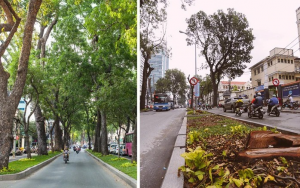 Ảnh chụp khúc đường Tôn Đức Thắng (Q.1, Sài Gòn) trước (hình trái) và sau (phải) khi chặt hạ cây xanh. Ảnh: 24h.com