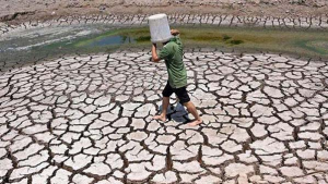 Tương lai đi về đâu? Người đàn ông chụp thùng nhựa lên đầu đi qua một hồ cạn nước ở tỉnh Bến Tre ngày 19/03/2024. Hình ảnh một ĐBSCL nhiều nơi đất đai nứt nẻ khô mặn, sông rạch cạn nước, cả một vùng châu thổ sông Mekong vốn phì nhiêu nhất thế giới đang bị sa mạc hóa và từ từ tan rã là một tương lai không xa. Ảnh: RFA /AFP