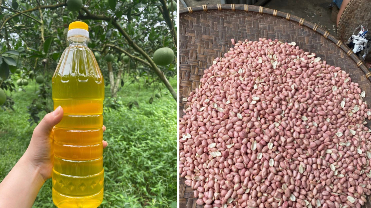 Dầu ăn nguyên chất do gia đình TNLT Trịnh Bá Phương chế biến, 100% từ đậu phộng. Ảnh: FB Nguyễn Bá Hạnh