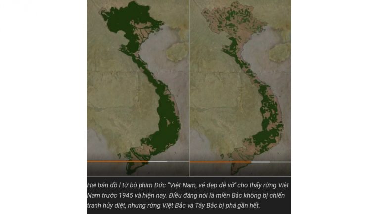 Nguồn: FB Thái Hạo