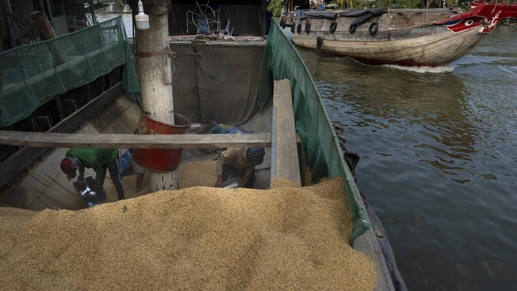 Công nhân xúc lúa trên tàu để xay xát tại một công ty xuất khẩu gạo ở Cần Thơ, ngày 26/01/2024. Đồng bằng sông Cửu Long, "vựa lúa" của Việt Nam, đang đối mặt với nhiều nguy cơ: Triều cường, sạt lỡ, ngập mặn. Ảnh: AP - Jae C. Hong