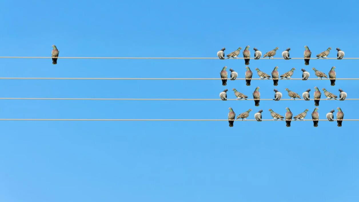 Ảnh minh họa: Tạp chí Thế Kỷ Mới