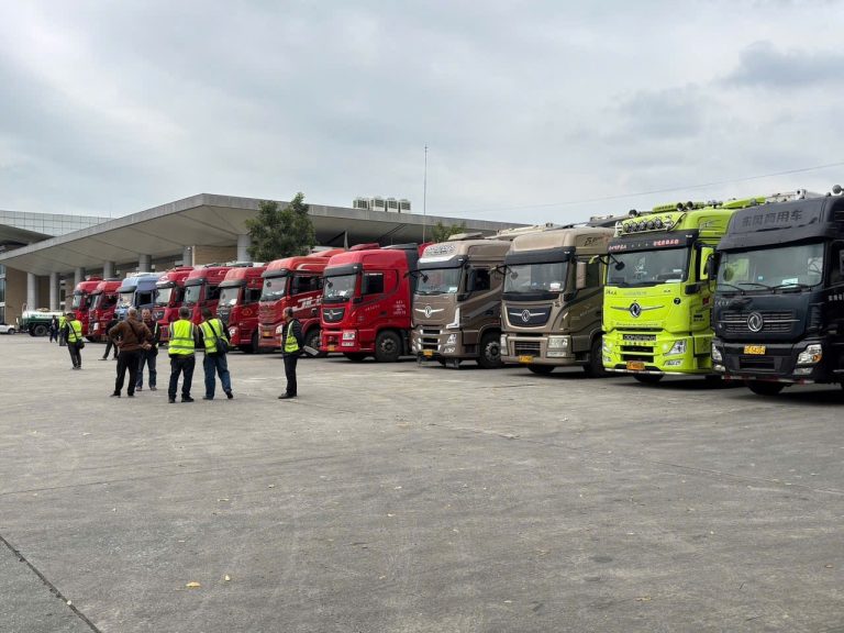 Nhiều xe container hàng trong hơn 1.300 container, ghe thuyền chở nông sản tươi sống, thực phẩm tại nhiều cửa khẩu trên cả nước bị ách tắc do "vướng" Nghị định 46 về kiểm tra an toàn thực phẩm. Ảnh: Tiền Phong