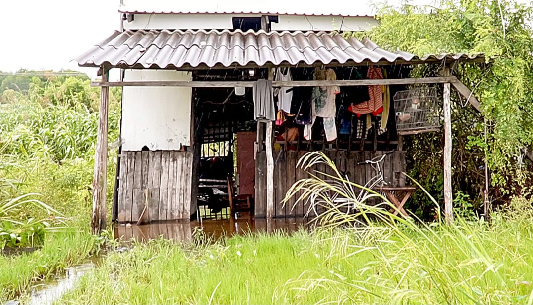 Một căn nhà ở vùng nông thôn Cà Mau. Ảnh: Báo Tuổi Trẻ