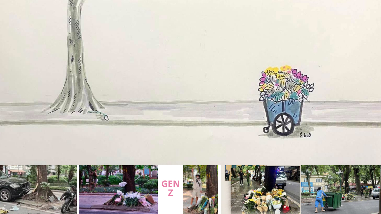 Ảnh minh họa: Vụ "Gốc cây 55"